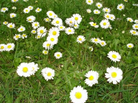 Printemps